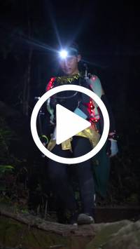 BIB:  <button type="button" onclick="openModal(27572137)" class="btn btn-primary btn-sm float-right" data-toggle="modal" data-target=".modal-high-quality">
                <i class="fa fa-download"></i> Download
                </button>